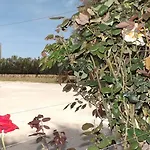 Panzió Beb Nonno Baffo 4*