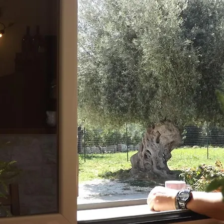 Bed & Breakfast Beb Nonno Baffo