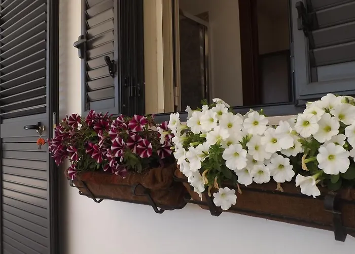 Beb Nonno Baffo 4* Avola