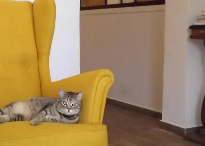 Beb Nonno Baffo Bed and breakfast