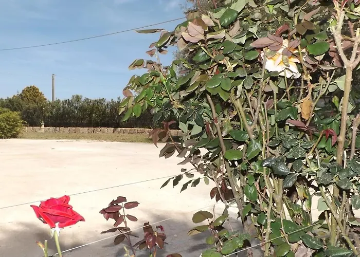 Bed and breakfast Beb Nonno Baffo 4*