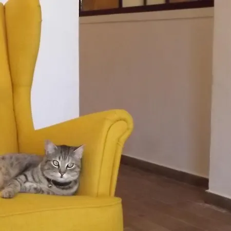 Beb Nonno Baffo Отель типа 