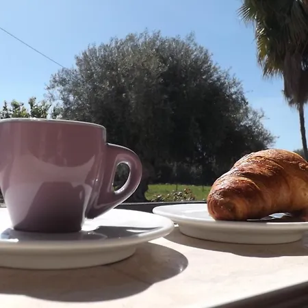 Beb Nonno Baffo Авола