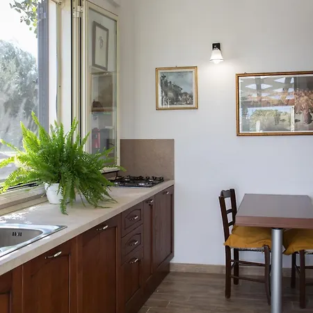 Beb Nonno Baffo 아볼라